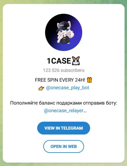 1кейс 1кейс