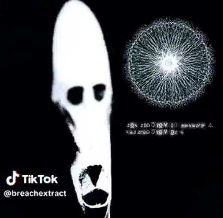 Alien — отзывы и рейтинг