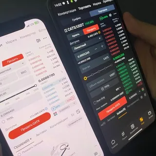 Амир Мирханов | Крипта — отзывы и рейтинг