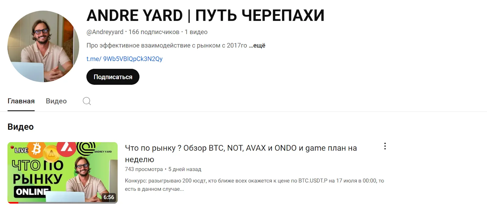 andrey yard путь черепахи