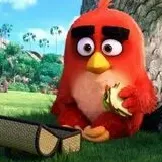 Angrybirds — отзывы и рейтинг