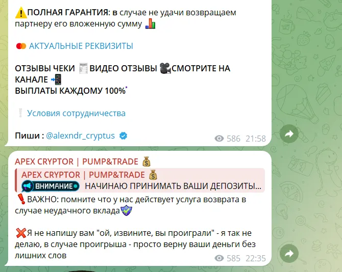 apex cryptor apex cryptor