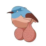Big Balls Birds — отзывы и рейтинг
