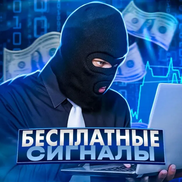 Бинарный Грабитель — отзывы и рейтинг