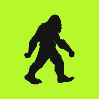 Bitfoot — отзывы и рейтинг