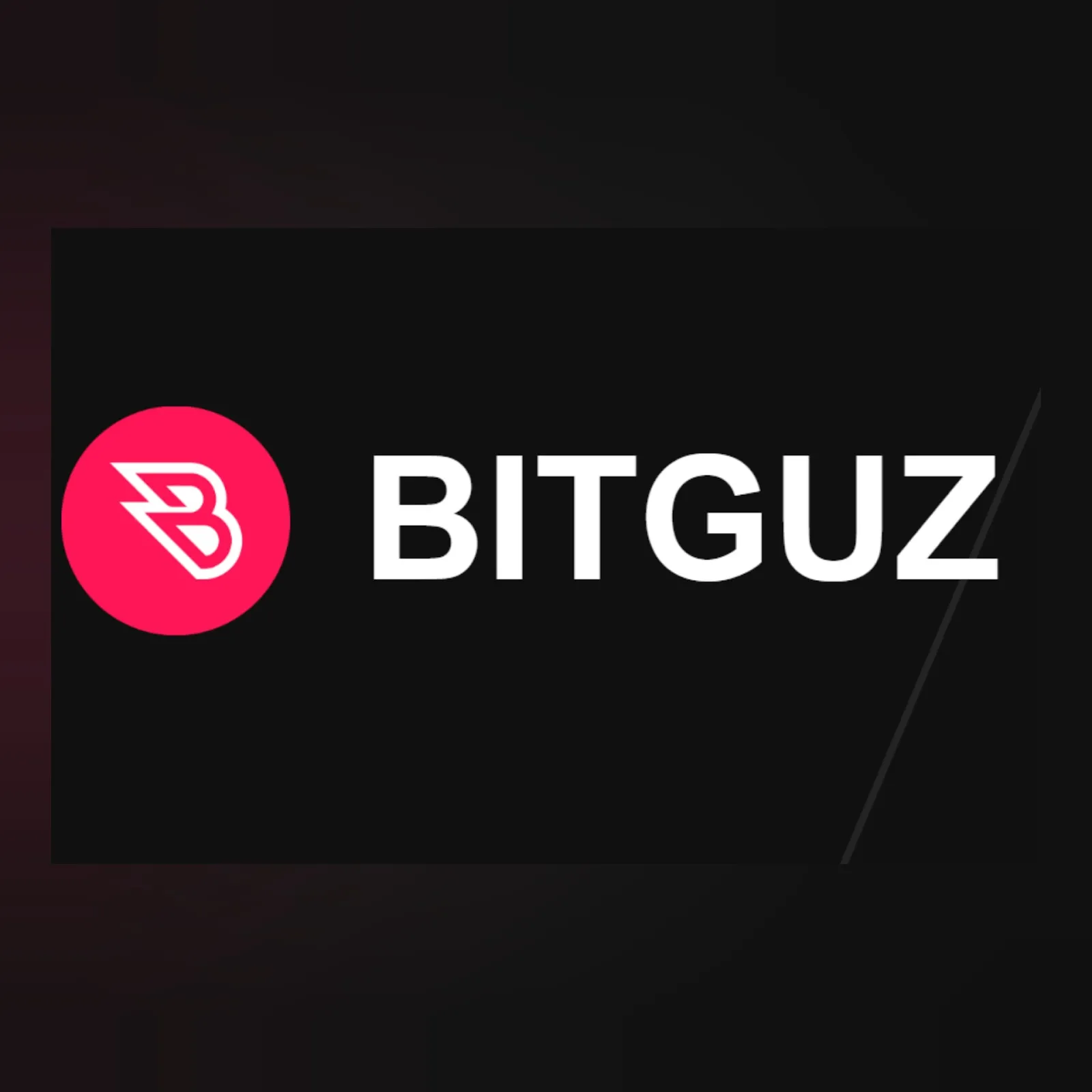 Bitguz — отзывы и рейтинг