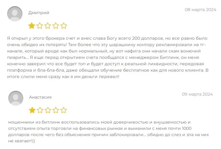 битлинк отзывы