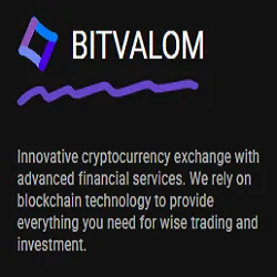Bitvalom — отзывы и рейтинг