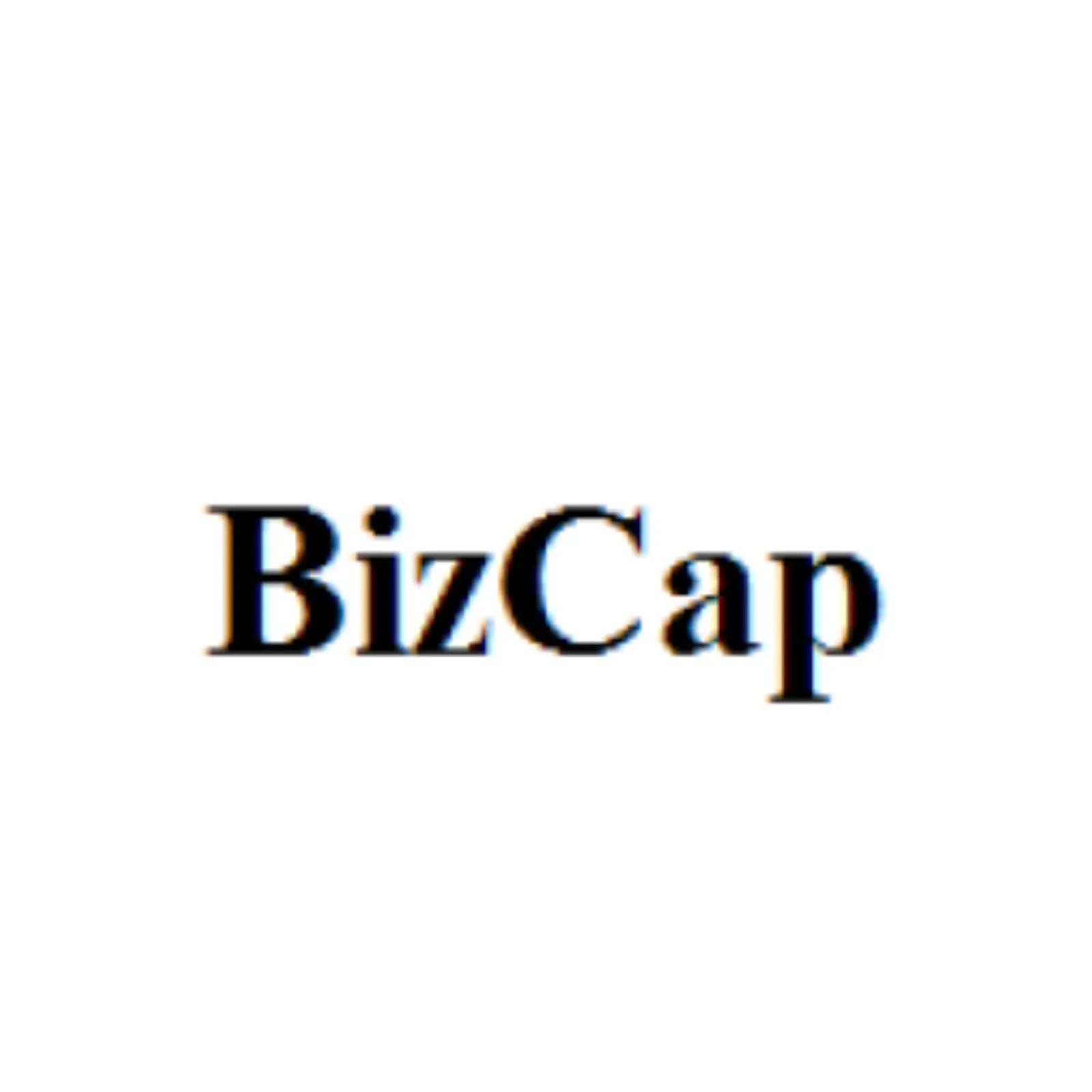 Biz Cap — отзывы и рейтинг