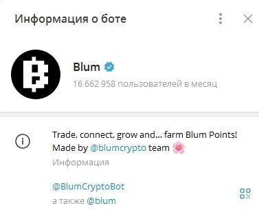 blumcrypto cis chat