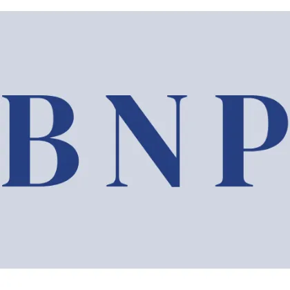 BNPGroups — отзывы и рейтинг