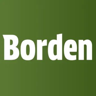 Borden — отзывы и рейтинг