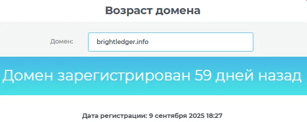 Bright Ledger Bright Ledger
