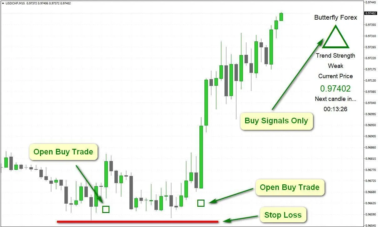 butterfly forex butterfly forex