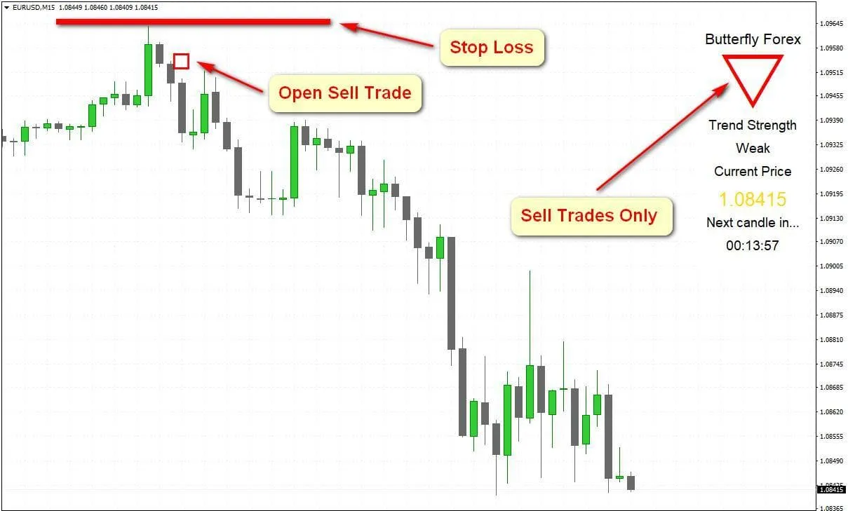 butterfly forex отзывы butterfly forex отзывы