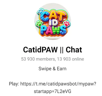 Cat Id Paws daily combo Cat Id Paws daily combo