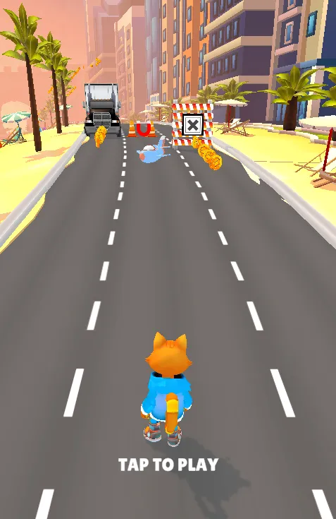 Catflip Academy Catflip Academy