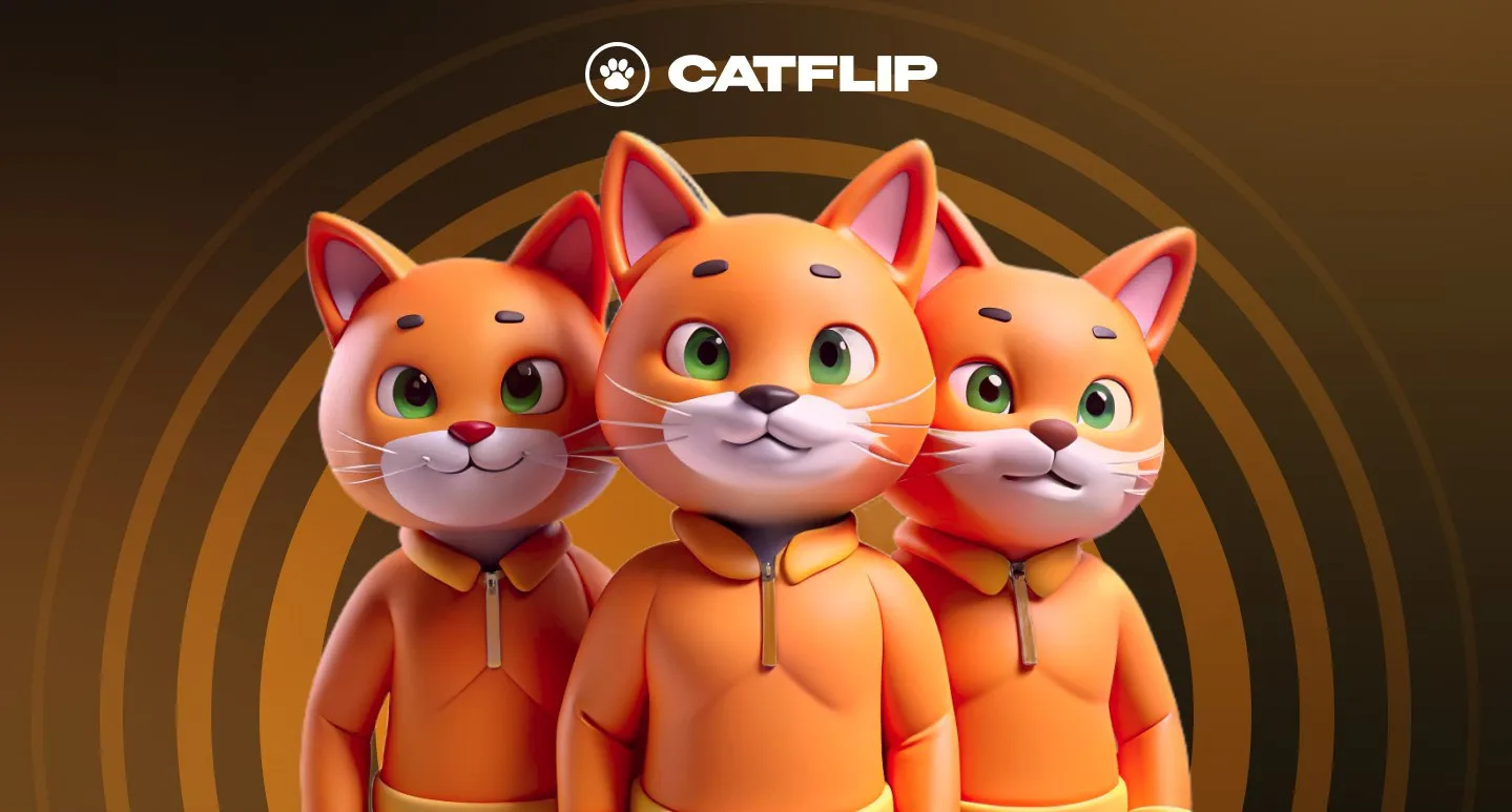 catflip crypto catflip crypto
