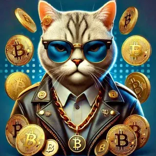 Catrock — отзывы и рейтинг