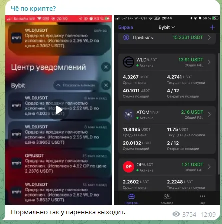 Че По Профитам Че По Профитам
