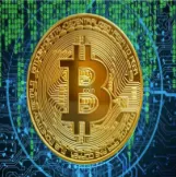 Coinmus — отзывы и рейтинг