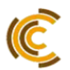 The Crypto Cash