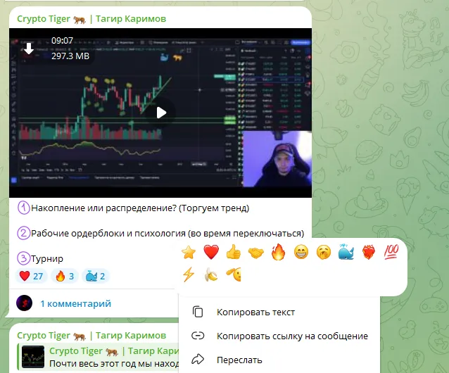 crypto tiger