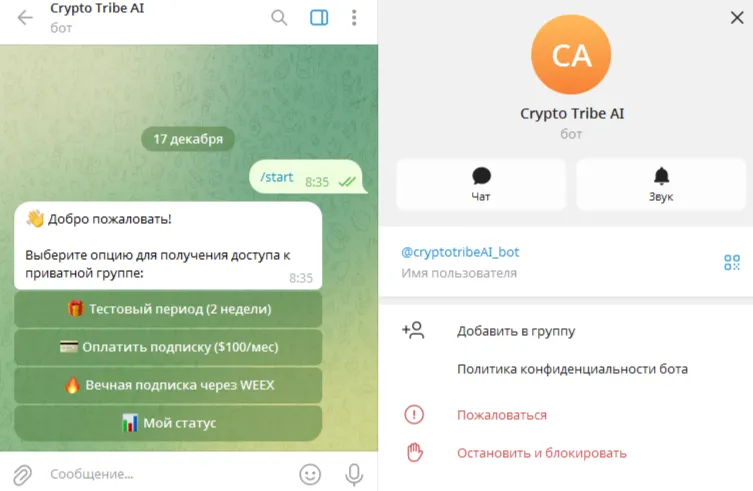 crypto tribe отзывы crypto tribe отзывы
