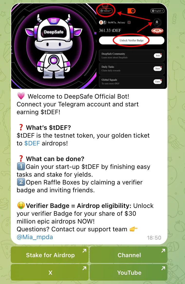 DeepSafe DeepSafe