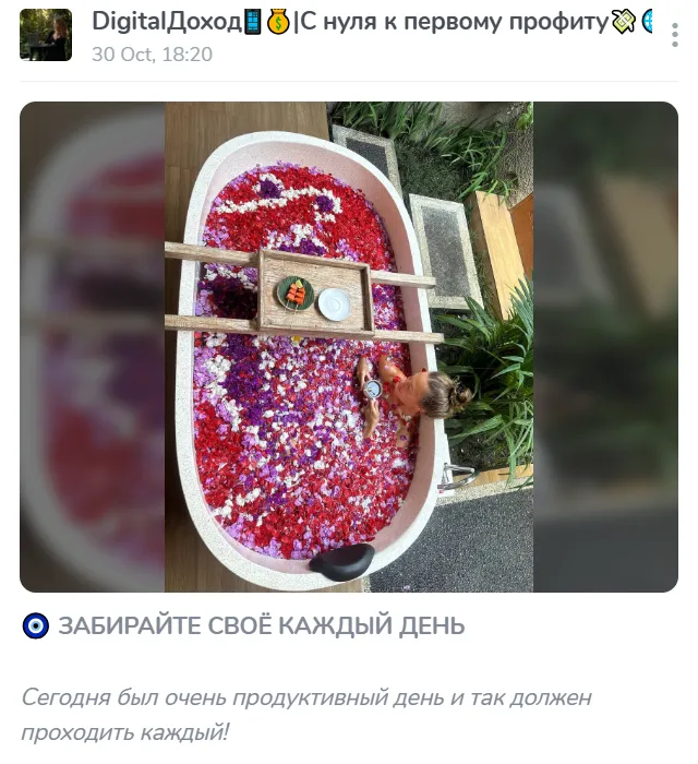 Инвестор Виктория