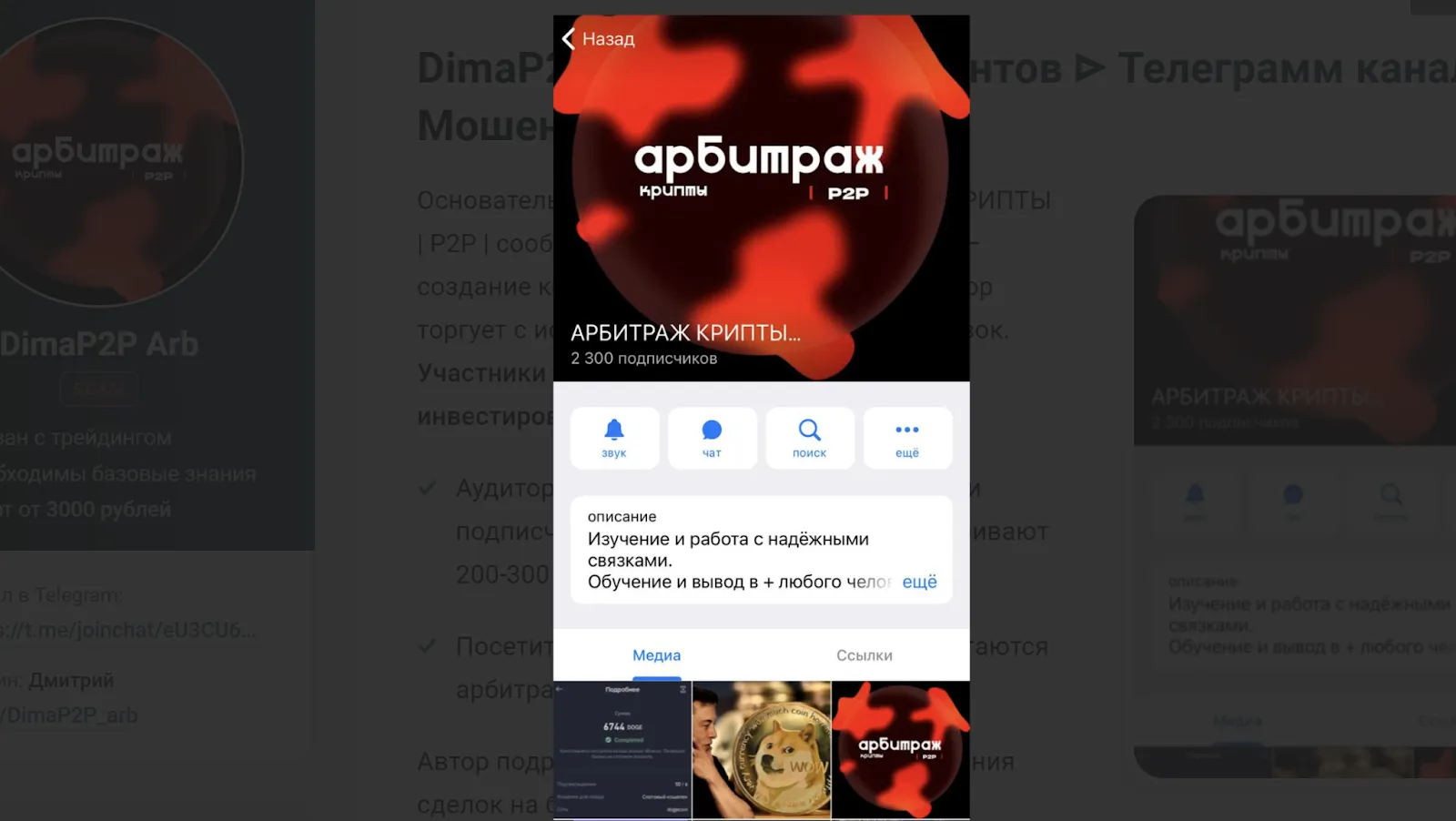 Dima Crypto — отзывы и рейтинг