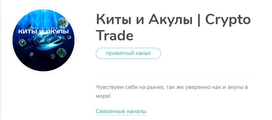 дмитрий катушадзе телеграмм отзывы