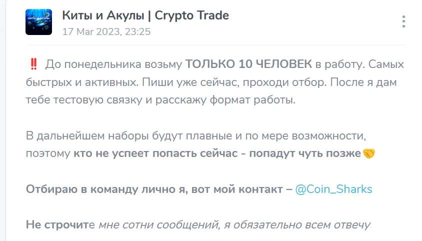 киты и акулы тг канал