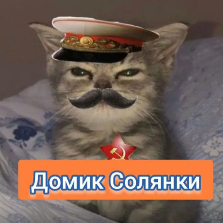 Домик Солянки — отзывы и рейтинг