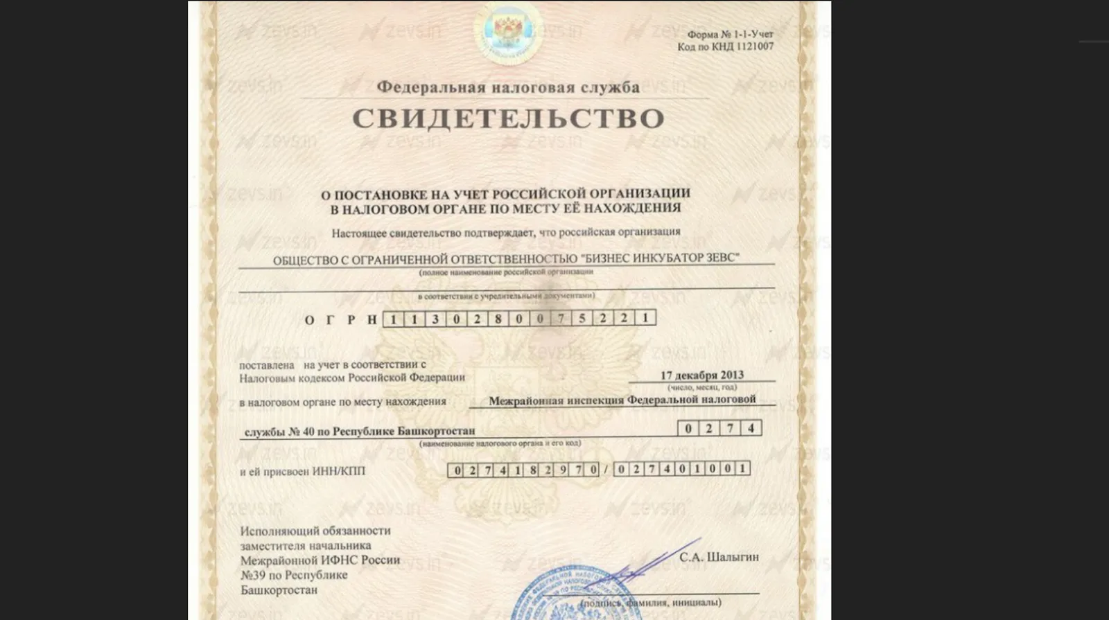 екатерина фетисова инвестиции