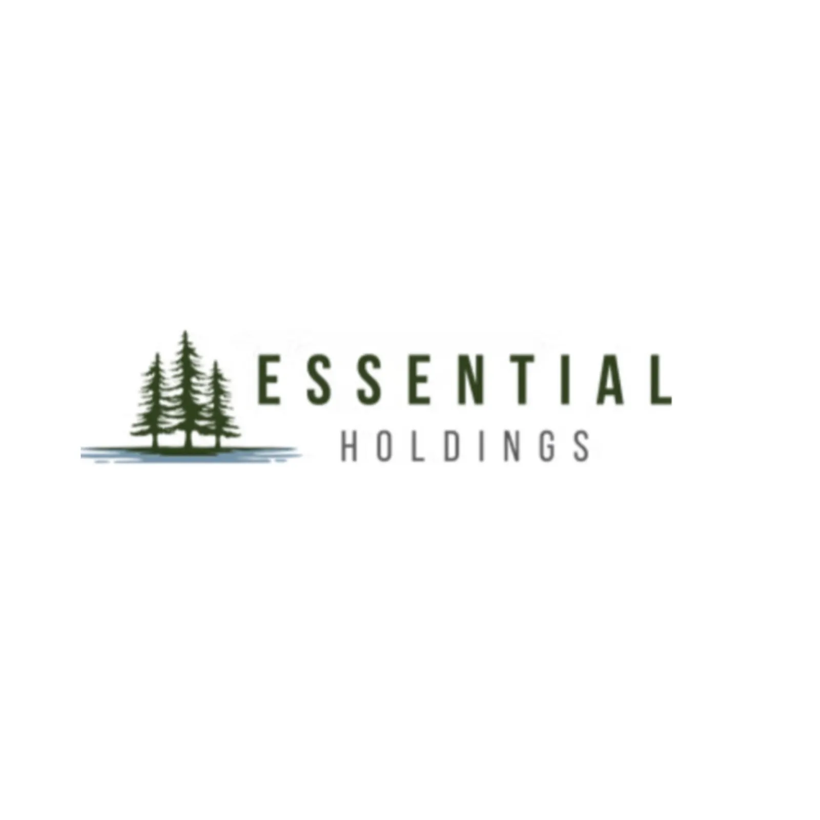 Essential Holding Limited — отзывы и рейтинг