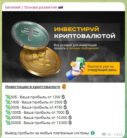 евгений основа развития инвестор