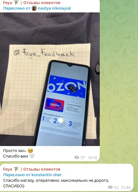 feya robot