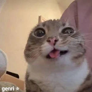 Genrimladshie — отзывы и рейтинг