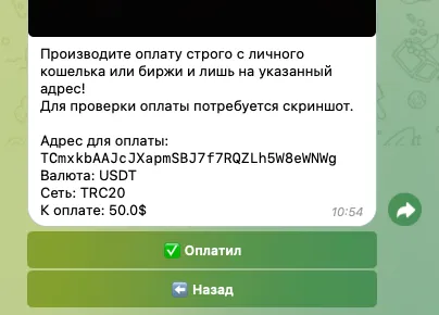 VOINKMT BOT