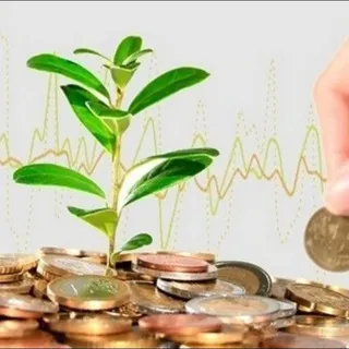 Intraday Trading ( Интрадей с Сашей Питер) — отзывы и рейтинг