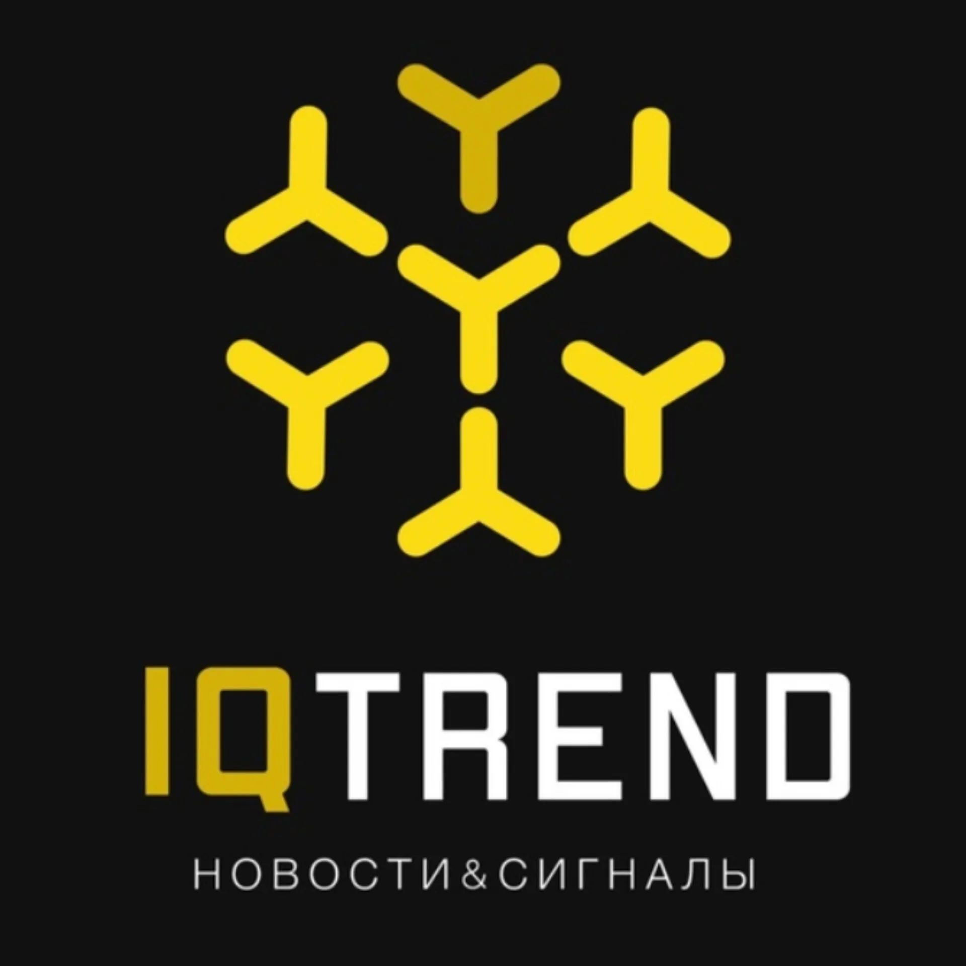 Iqtrend — отзывы и рейтинг