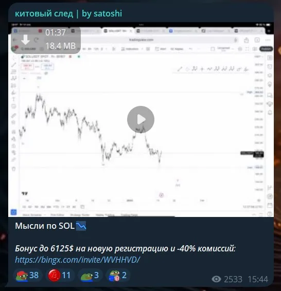 китовый след by satoshi отзывы китовый след by satoshi отзывы