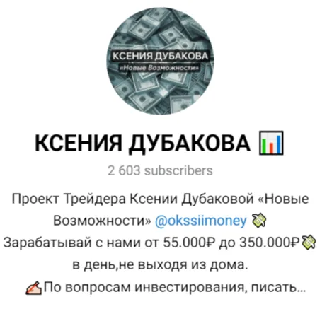 Ксения Дубакова заработок