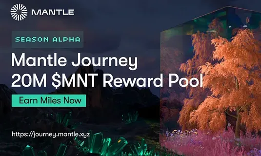 mantle network вывод mantle network вывод