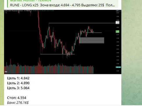 market hunter ternov отзывы market hunter ternov отзывы