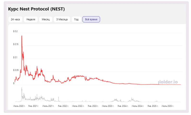nest курс