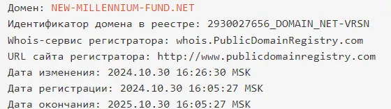 new millennium fund new millennium fund