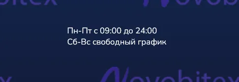 novobitex com отзывы