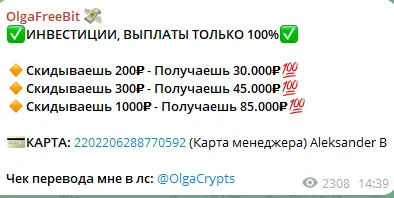OlgaProMoney